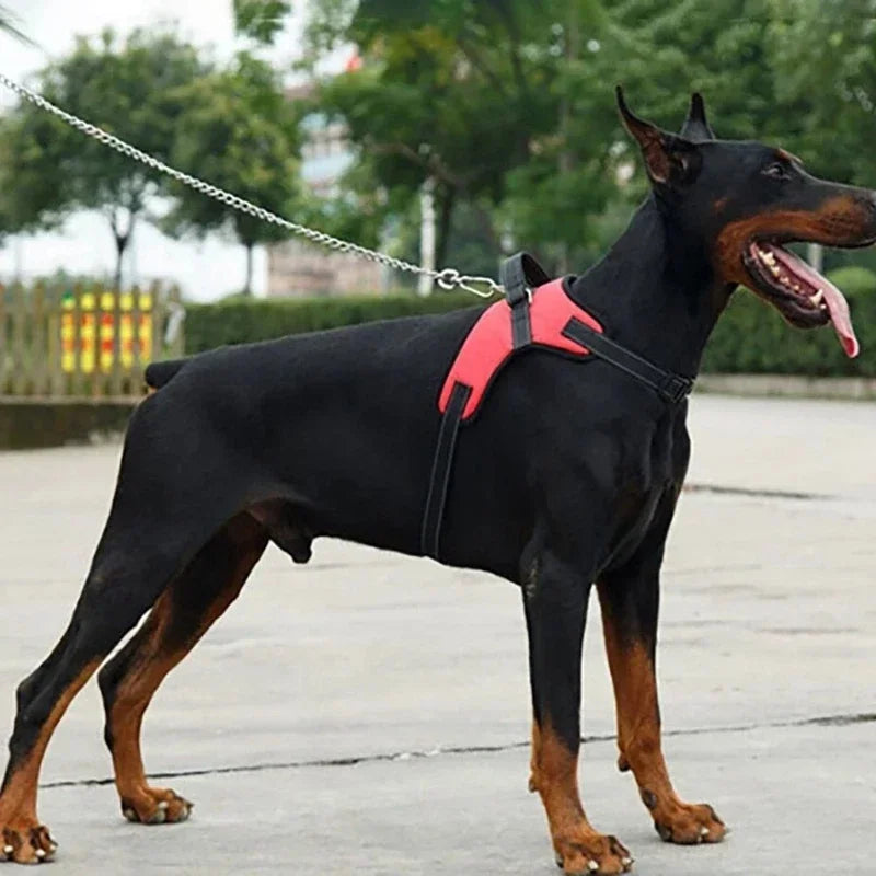 Adjustable Dog Harness Vest for Small, Medium and Large Dogs