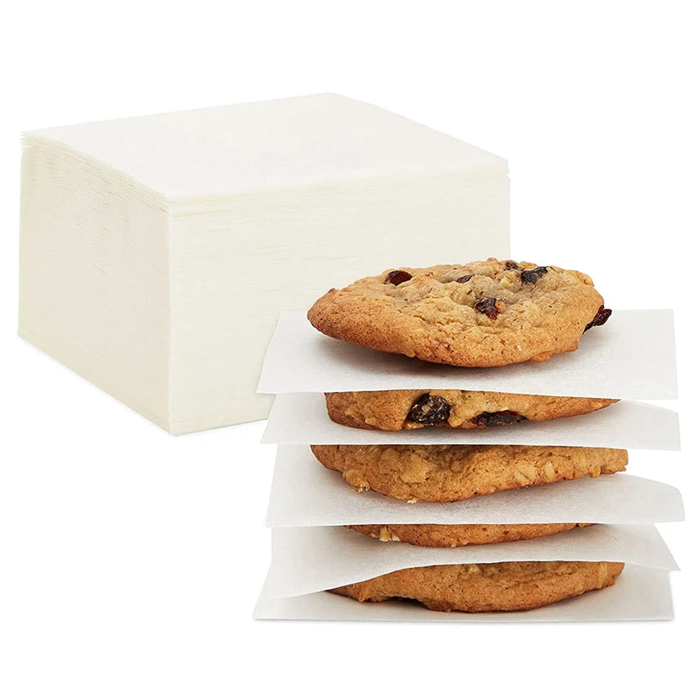 500 Pcs Nonstick Parchment Patty Paper, 10 x 10 cm (4 x 4 inch) Baking Sheets