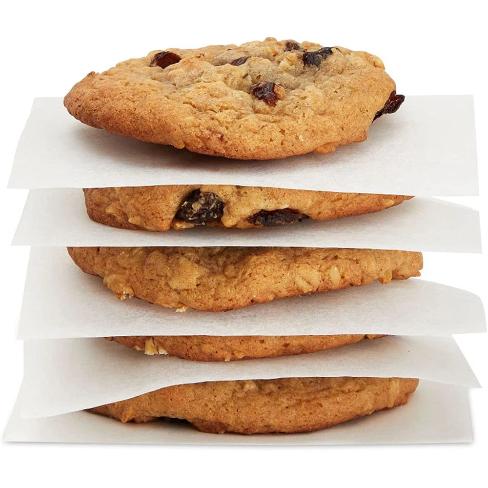 500 Pcs Nonstick Parchment Patty Paper, 10 x 10 cm (4 x 4 inch) Baking Sheets