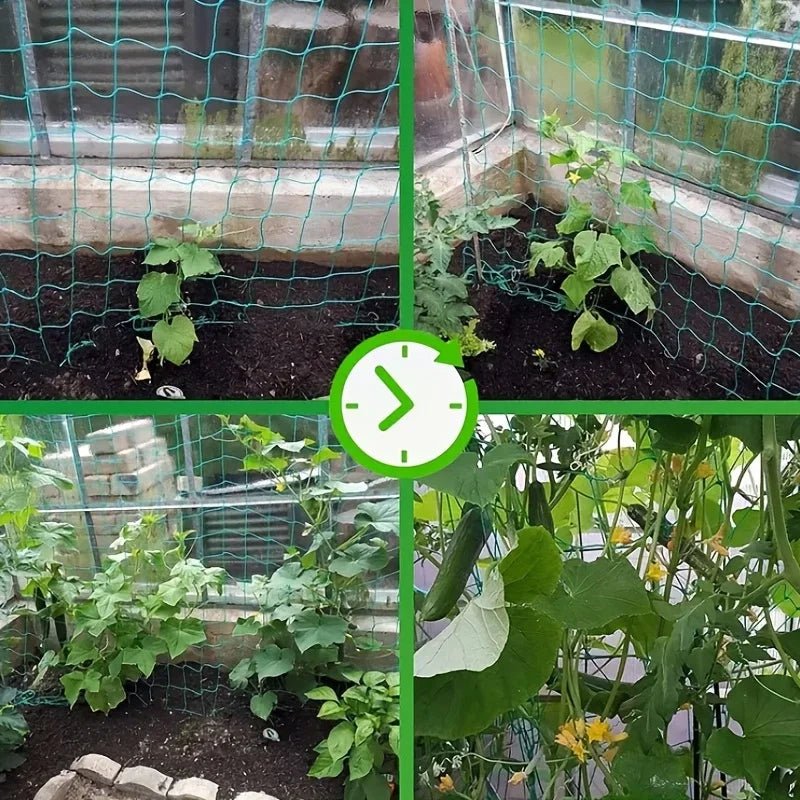 Garden Trellis Netting for Climbing Plants and Vegetables - Ammpell