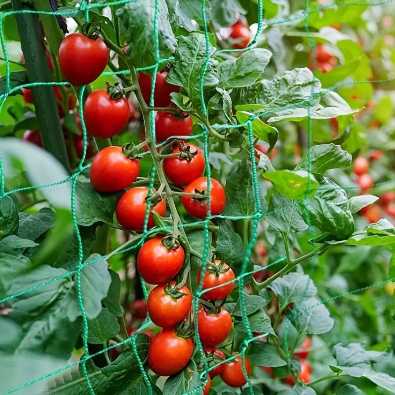 Garden Trellis Netting for Climbing Plants and Vegetables - Ammpell