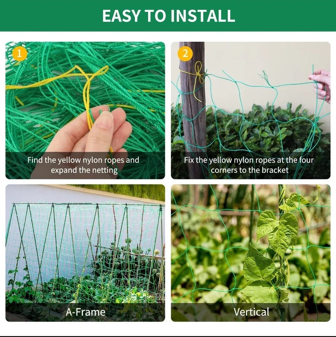 Garden Trellis Netting for Climbing Plants and Vegetables - Ammpell