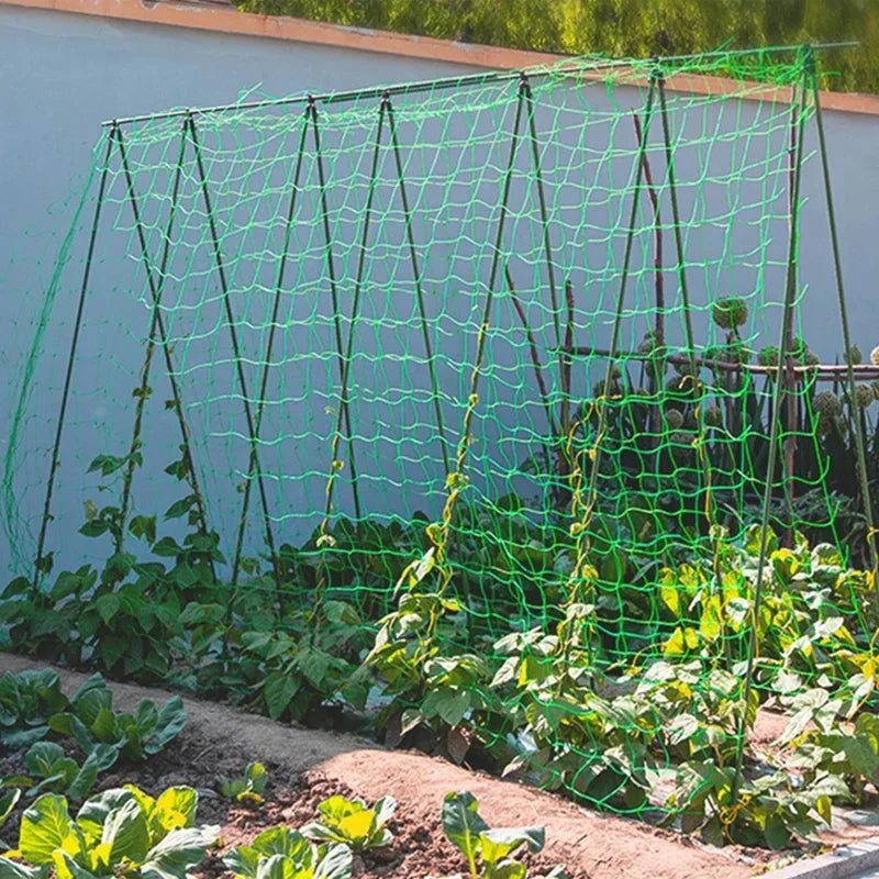 Garden Trellis Netting for Climbing Plants and Vegetables - Ammpell